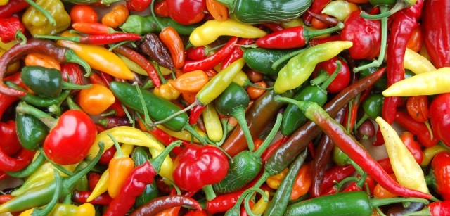 Guide til chili og styrkeskala over chili
