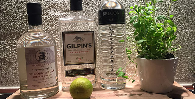 Drinks og cocktails med Gin
